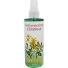 Ambientador Ruda 250 ml | Tienda Esotérica Changó