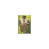 Tarot The Fairy Ring - Franklin & Mason (Set) (60 Cartas) (EN) (LLW) | Tienda Esotérica Changó