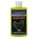 Colonia Gallina Negra 50 ml. (Prod. Ritualizado) | Tienda Esotérica Changó