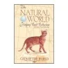 Tarot Cats - Natural World (54 Pocker) (Italiano - Modiano) | Tienda Esotérica Changó