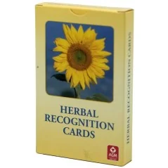 Barajas de Tarot | Tienda Esotérica Changó