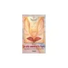 Tarot Angeles (Cartas Sanadoras...) (Set - Libro + 20 Cartas) (Ef) | Tienda Esotérica Changó
