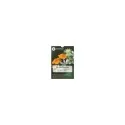 Oraculo Florales (39 Cartas) (Edward Bach) | Tienda Esotérica Changó