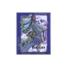 Tarot Brujas (Set + 28 Cartas) (O) | Tienda Esotérica Changó