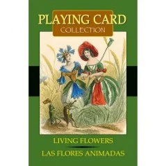 Barajas de Tarot | Tienda Esotérica Changó