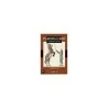 Cartas Circo (54 Cartas Juego - Playing Card) (Lo Scarabeo) | Tienda Esotérica Changó