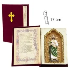 Imagen San Judas Tadeo en Libro 17 cm