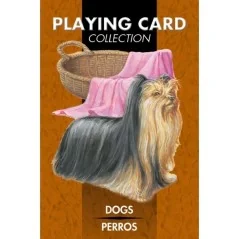 Barajas de Tarot | Tienda Esotérica Changó