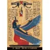 Egyptian Gods Oracle Cards - Silvana Alasia | Tienda Esotérica Changó