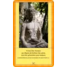 Tarot Osho Decouvrez Bouddha | AGM Müller | 9783038191490 Tienda Esotérica Changó