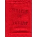 Oraculo Voyant (51 Cartas Pocket) (En) | Tienda Esotérica Changó