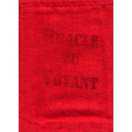 Oraculo Voyant (51 Cartas Pocket) (En) | Tienda Esotérica Changó