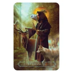 Saints and Mystics Reading Cards - Andres Engracia | Rockpool Publishing | 9781925429282 Tienda Esotérica Changó