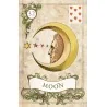 Old Style Lenormand Fortune-Telling - Alexander Ray | Tienda Esotérica Changó