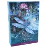 Oraculo Spirit Of The Animals - Jody Bergsma (SET) (2018) (51 cartas) (EN) (USG) 11/18 | Tienda Esotérica Changó