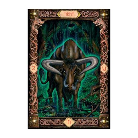 Power Of The Runes cards - Thomas Vomel | U.S. Games | 9781572810877 | Tienda Esotérica Changó