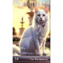 Cartas Tarot Felino - Zuly Moz | Tienda Esotérica Changó