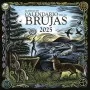 Calendario de las Brujas 2025 | Obelisco | 9788411721523 | Tienda Esotérica Changó