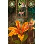 Oraculo Fairy Lenormand (36 Cartas) (7 Idiomas) (Sca) | Tienda Esotérica Changó