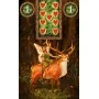 Oraculo Fairy Lenormand (36 Cartas) (7 Idiomas) (Sca) | Tienda Esotérica Changó