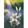 Oráculo Herbs & Plants Lenormand | 9788865278505 | Lo Scarabeo | Tienda Esotérica Changó