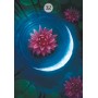 Oráculo Herbs & Plants Lenormand | 9788865278505 | Lo Scarabeo | Tienda Esotérica Changó