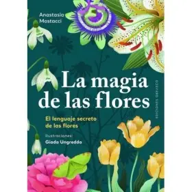 Barajas de Tarot | Tienda Esotérica Changó