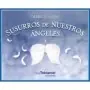 Oráculo Susurros De Nuestros Ángeles - Debbie Malone | Guy Tredaniel | 9782813223883 | Tienda Esotérica Changó