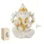 Ganesha Sentada 15 cm - Blanca y Dorada | 8435266243397 | Tienda Esotérica Changó