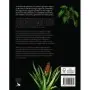 Libro La Magia de las Plantas - Rachael Cohen | 9788410469280 | Blume | Tienda Esotérica Changó