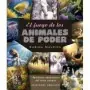 Oráculo El Juego de los Animales de Poder - Karina Malpica | 9788411721844 | Obelisco | Tienda Esotérica Changó