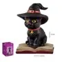 Figura Gato Brujo en Libro 11 cm – Resina Extra | Tienda Esotérica Changó