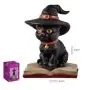 Figura Gato Brujo en Libro 11 cm – Resina Extra | Tienda Esotérica Changó