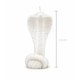 Velas y Velones | Tienda Esotérica Changó
