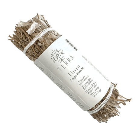 Atado de Salvia Blanca + Tomillo 25-30 grr 10 cm