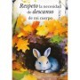 Tapping: Cartas para el Día a Día – Jessica Ortner