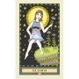 La Estrella Errante Tarot – Cat Pierce | 80 Cartas + Guía