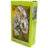 Tarot Tarocchi di Robot - Giugiaro Berti (IT) (Caja verde) (SCA) 03/16 | Tienda Esotérica Changó