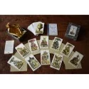 Tarot Oriental Foudraz 1845 (Giordano Berti) | Tienda Esotérica Changó