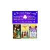 Tarot Magnets The Lovers (6 Cartas Imantadas) (USG) | Tienda Esotérica Changó