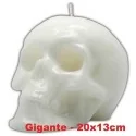 Vela Craneo Gigante 13 cm - Blanco | Tienda Esotérica Changó