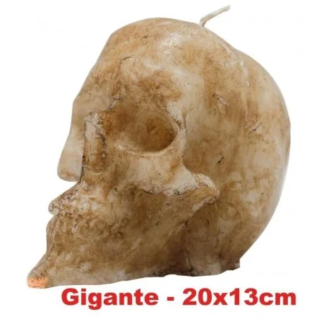 Vela Craneo Gigante Marfil 13 cm - Natural | Tienda Esotérica Changó