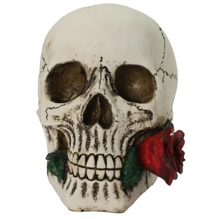 Calavera con Rosa 16 x 14 x12 cm (resina) | Tienda Esotérica Changó