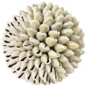 MAR Esfera Conchas Cauries 10 cm diam. (Ofrendas - Decoración) | Tienda Esotérica Changó