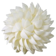 MAR Esfera Caracoles Blancos 8 cm diam. (Ofrendas - Decoración) | Tienda Esotérica Changó
