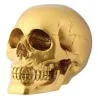 Craneo Calavera Dorado 14 x 11 cm | Tienda Esotérica Changó