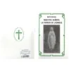 Novena Nuestra Señora Virgen de Lourdes (Blanco y negro) | Tienda Esotérica Changó