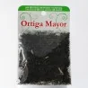 Ortiga Mayor (Problemas Monetarios) | Tienda Esotérica Changó