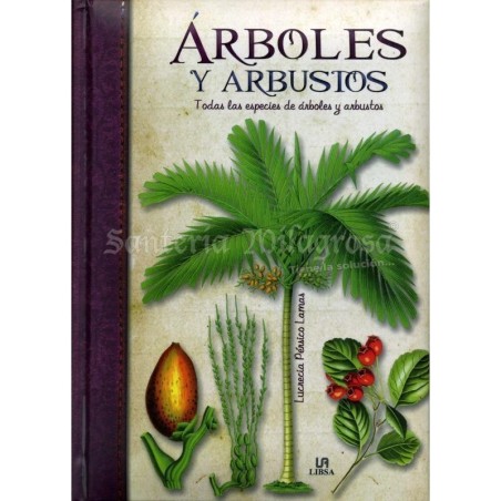 Arboles y Arbustos (Todas las especies...) (Lucrecia Lamas)