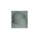 Mineral Forma Calavera Cuarzo Blanco 3.5 x 2.5 cm | Tienda Esotérica Changó